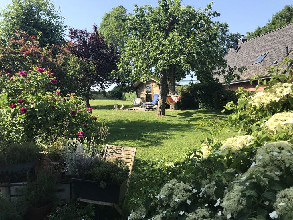 Der Garten mit Rosen und Hortensien im Vordergrund, dahinter Hängematte und Blockhaus unter den Obstbäumen