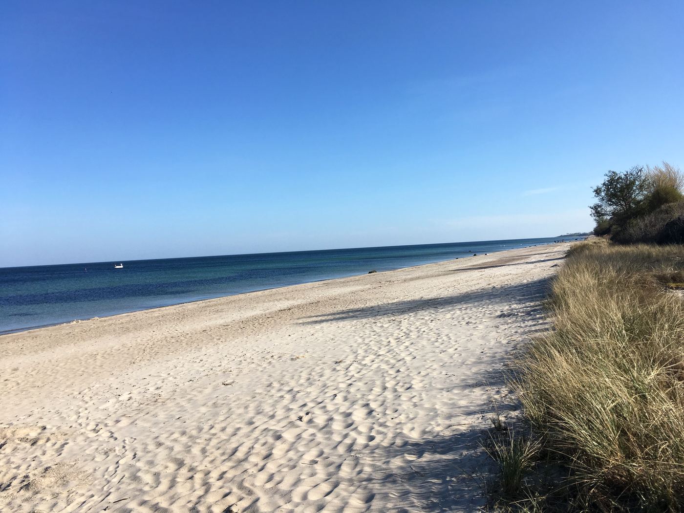 Weiter Sandstrand mit Dünengras und ruhiger Ostsee