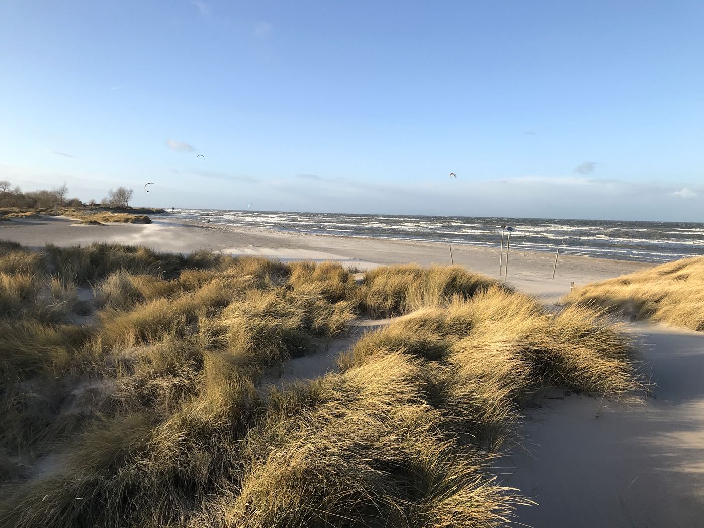 Dünen im Winterlicht, am Horizont Kitesurfer über dem Wasser