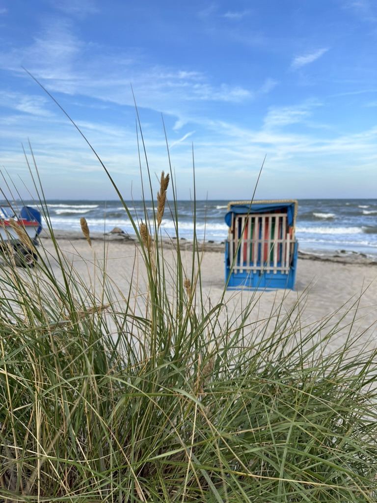 Blauer Strandkorb am Wasser, im Vordergrund Dünengras